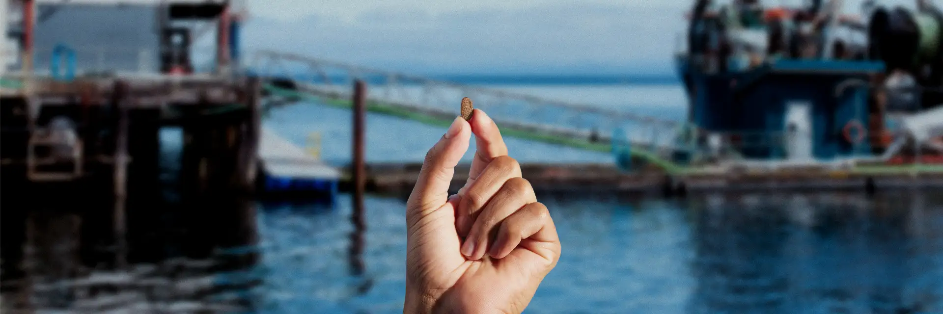 finger with kibble